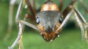 Wie Technik die Welt zum Schlechteren wendet