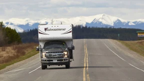 Auf dem Highway ist der Bär los