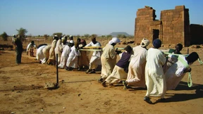 Widderstatuen in der Wüste
