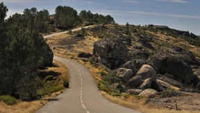 Folge der Straße und finde das Glück auf den Tellern