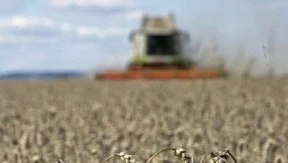 Hessische Bauern rechnen mit Gewinneinbußen