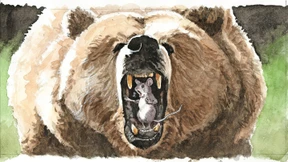 Eine neue Verfassung für Russland?