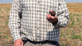 Erntehelfer finden Stabbrandbomben auf Feld