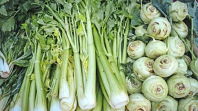 Wie schmeckt eigentlich Gemüse?