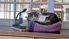 Hüter des Zauberbergs