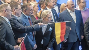 124 Abgeordnete würden für ein AfD-Verbotsverfahren stimmen