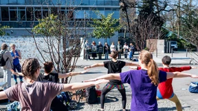 Schwarz und Grün in Treue fest