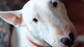 Mit Schwert und Sturm