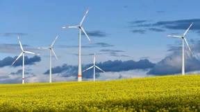 Stromverbraucher nutzen so viel Ökostrom wie nie