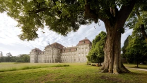 Es braucht genügend Geld und Leidensfähigkeit