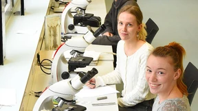 Tiere präparieren gehört zum Beruf