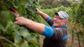 Ist es das wert, so ein Leben in Deutschland?