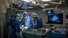 Wie lässt sich die Zahl der Transplantationen steigern?