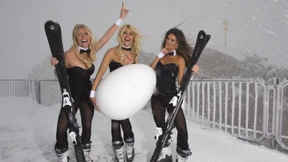 Häschenimperium zu verkaufen