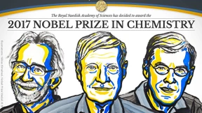 Chemie-Nobelpreis für spezielle Elektronenmikroskopie