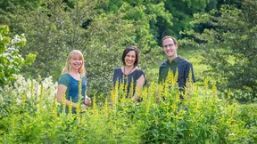 „Rindenmulch und Kies sind ökologisch tot“