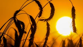 Fluss und Menschen leiden unter Hitze