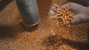 Sehnsucht nach der Agrarwende