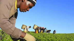 Was der Brexit für Entwicklungsländer bedeutet