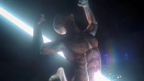 Im digitalen Tulpenfieber