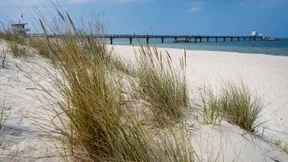 Die deutsche Nord- und Ostseeküste im Tourismus-Check