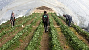 Ohne die Polen geht in Deutschland nichts mehr