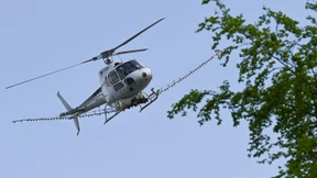 Luftangriff auf den Eichenprozessionsspinner