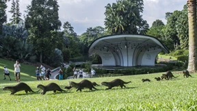 Die kolonisierte Natur