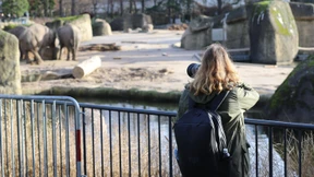 Amerikanerin vermacht Kölner Zoo Millionen