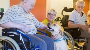 Mit vier Pfoten gegen die Einsamkeit