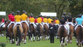 Reiten in der Schule
