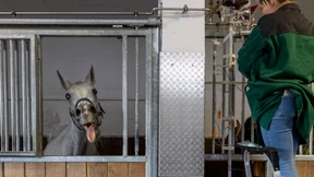 Ein Herz für Tierärzte