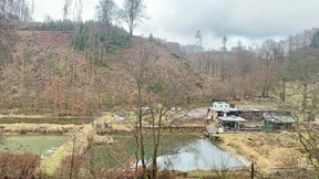 Ganz normale Dienstleister für die Mafia