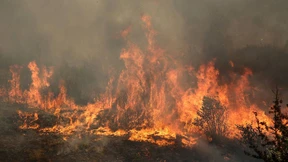 Griechenland bittet EU um Hilfe