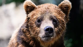 Gouverneur in Japan fordert Hilfe der Armee an