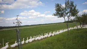 Ein digitaler Marktplatz für Öko-Produkte