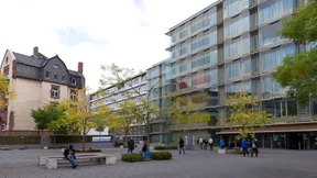 Neuer Gesichtsschutz soll vor Ansteckung schützen