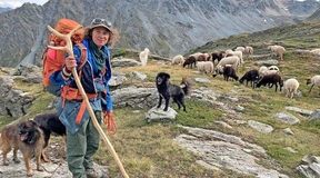 So überlebt eine Hirtin in den Schweizer Bergen