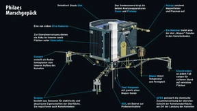 Der späte Ruhm König Ptolemaios’ VIII. 