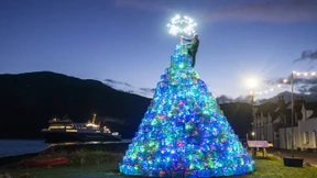 Der Baum darf bleiben