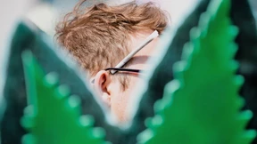 Die Folgen des legalen Kiffens