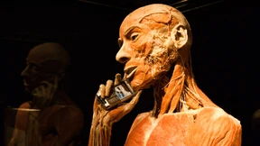 Die Deutschen telefonieren mehr und zahlen weniger