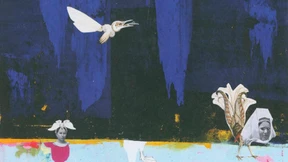 Und am Ende sind wir das gerupfte Huhn