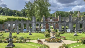 Nichts, was das Auge kränkt