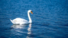 Wetter legt kurze Winterpause ein