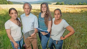 Gewerbe oder Getreide