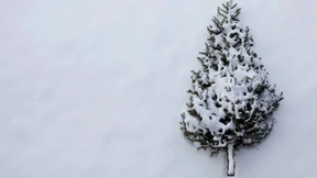 Als halte die Zeit einfach an