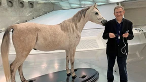 Pamuk fährt nicht mit