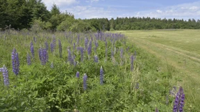 „Es gibt beim Thema Biodiversität enormen Nachholbedarf“