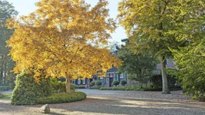 Diese Nuss ist erste Wahl